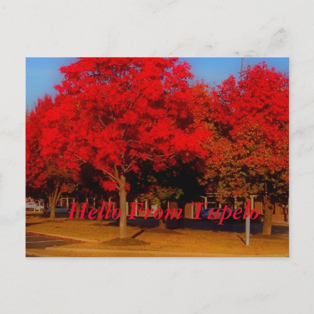 Hello From Tupelo Postcard (Front)