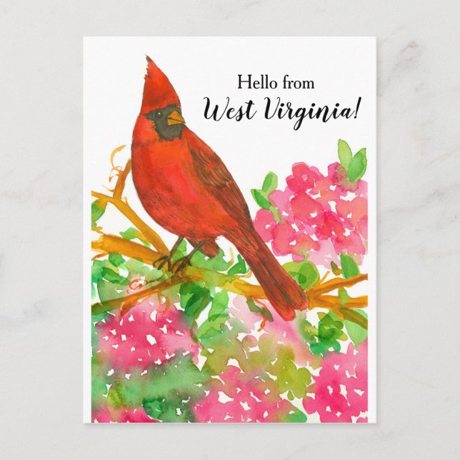 Hello from West Virginia Northern Cardinal Postcard (Front)