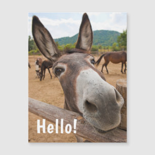 Hello Funny Donkey Farm Animal