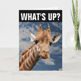 HELLO GIRAFFE GREETING CARD, WHAT'S UP? CARD