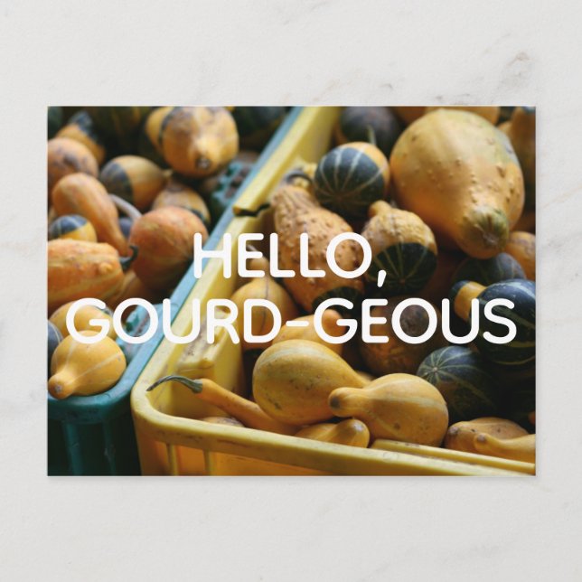 Hello, Gourd-geous Postcard (Front)