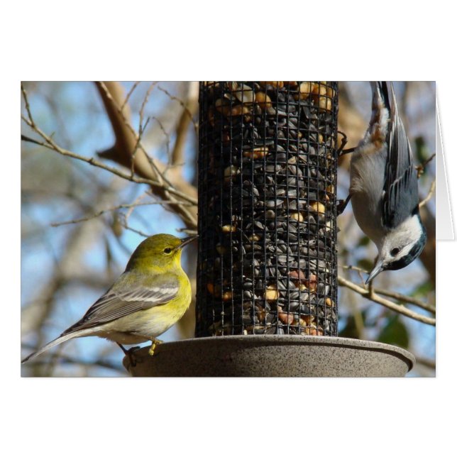 Hello!  Greeting Card (Front Horizontal)