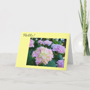 Hello! Greeting Cards Hope all is well You Family