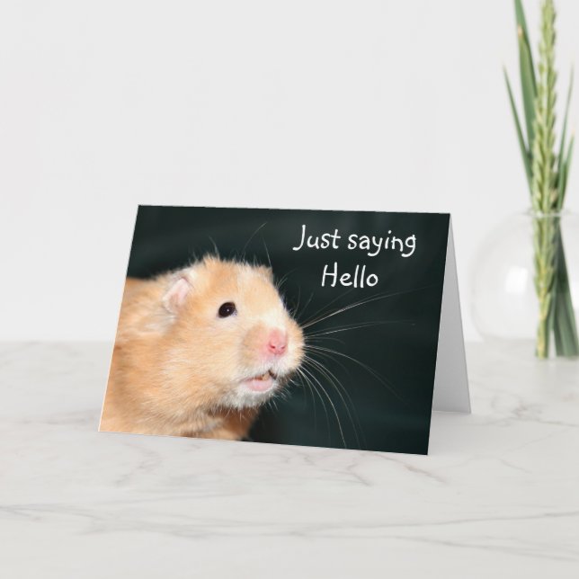 Hello Hamster Card (Front)