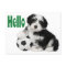 Hello Havanese Puppy Dog Postcard