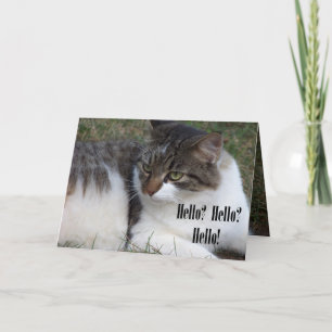 Hello? Hello? Hello! (Cat) Cards