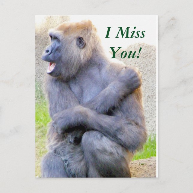 Hello Hug_ Postcard (Front)