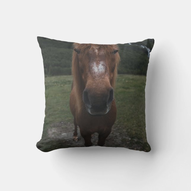 HELLO I AM A HORSE THROW PILLOW (Front)