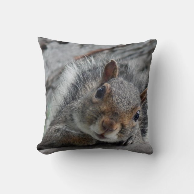 Hello I am Squirrel Throw Pillow (Front)