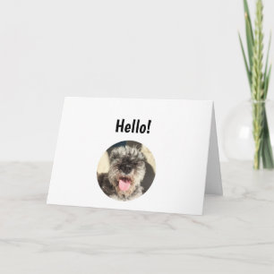 Hello I Like Fish Sticks Greeting Card