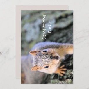 Hello! I'm darling! Invitation