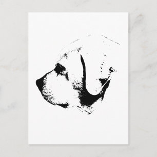 Hello in Black and White Postcard