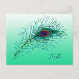 Hello, Keeping in Touch Peacock Feathers Postcard