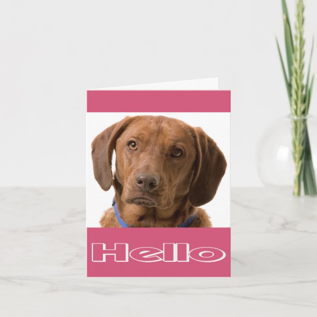 Hello Labrador Retriever Puppy Dog Note Card (Front)