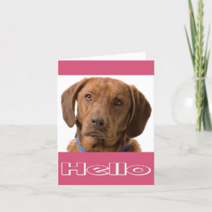 Hello Labrador Retriever Puppy Dog Note Card