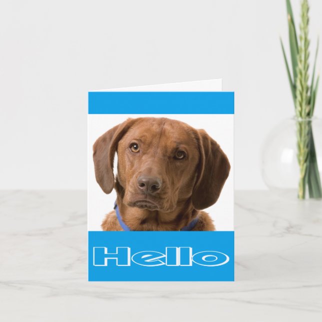 Hello Labrador Retriever Puppy Dog Note Card (Front)