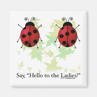 Hello Ladies Magnet