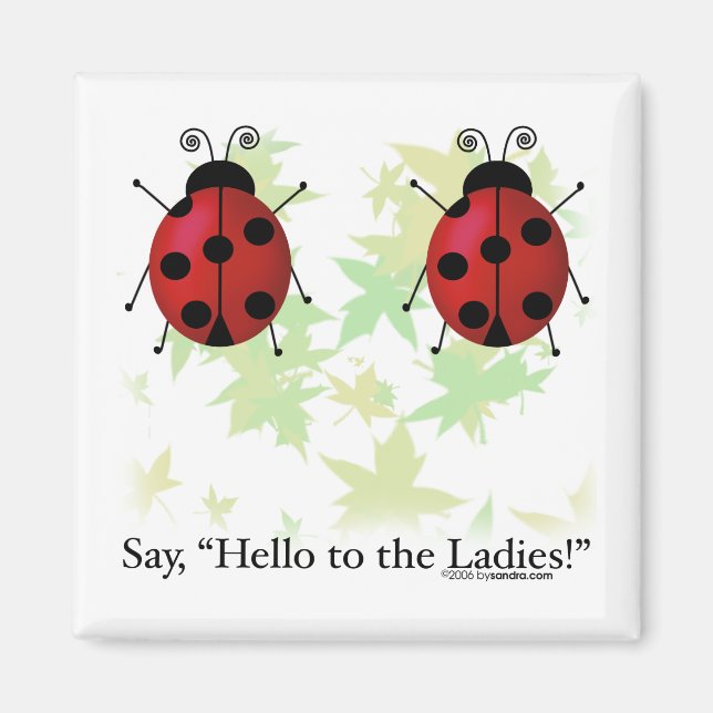 Hello Ladies Magnet (Front)