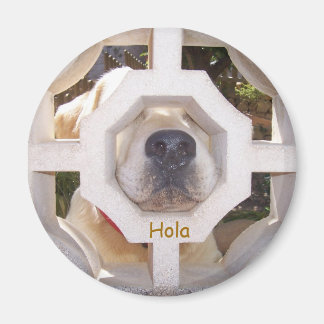 Hello Magnet