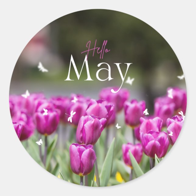 Hello May Tulip Sticker (Front)