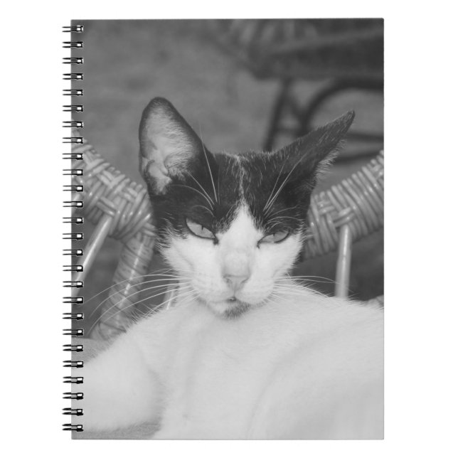 Hello, Meow... Notebook (Front)