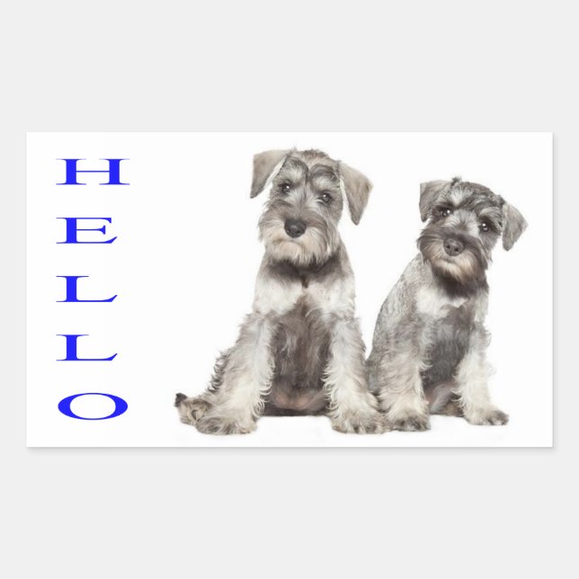 Hello Miniature Schnauzer Puppy Dog Sticker  Label (Front)