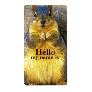 Hello , my name is_