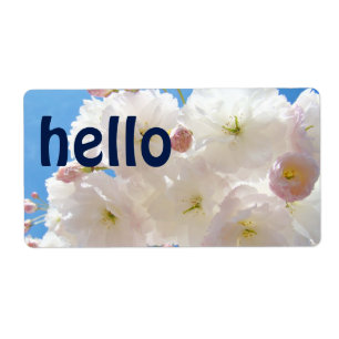Hello name tags stickers labels Conferences Guests
