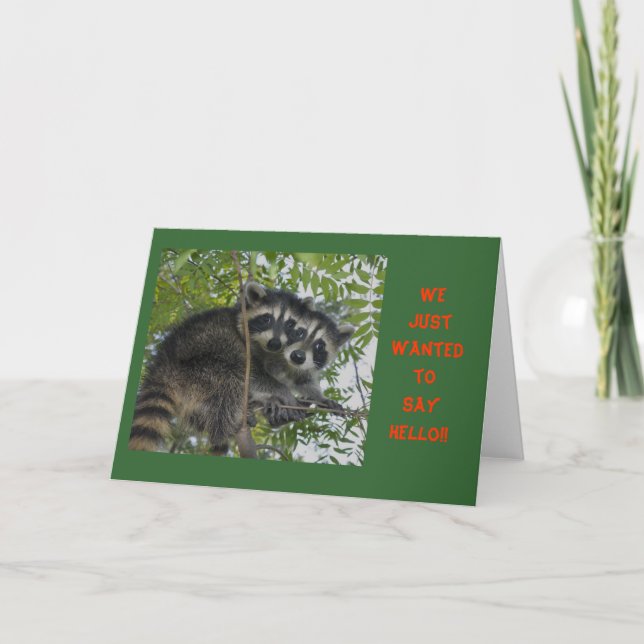 Hello Notecards (Front)