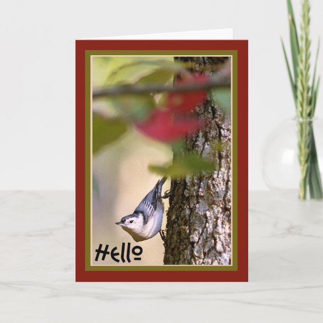 Hello - Nuthatch Greeting Card (Front)