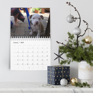 Hello Pet Puppy Custom 2021 Calendar