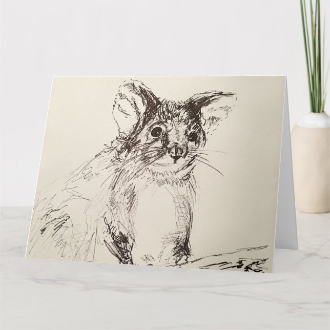 Hello Possum! Greeting Card (Front)