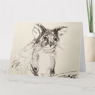 Hello Possum! Greeting Card