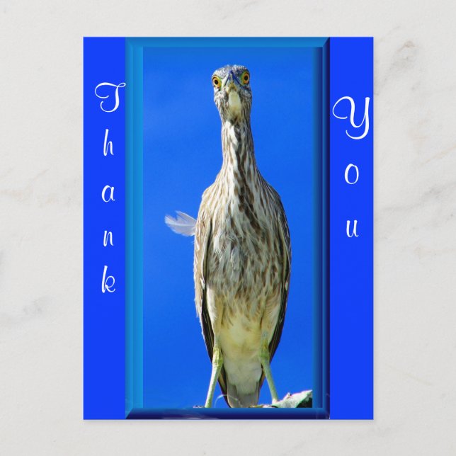 Hello_ Postcard (Front)