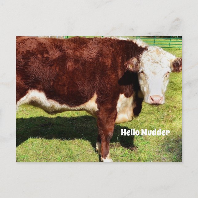 Hello PostCard (Front)