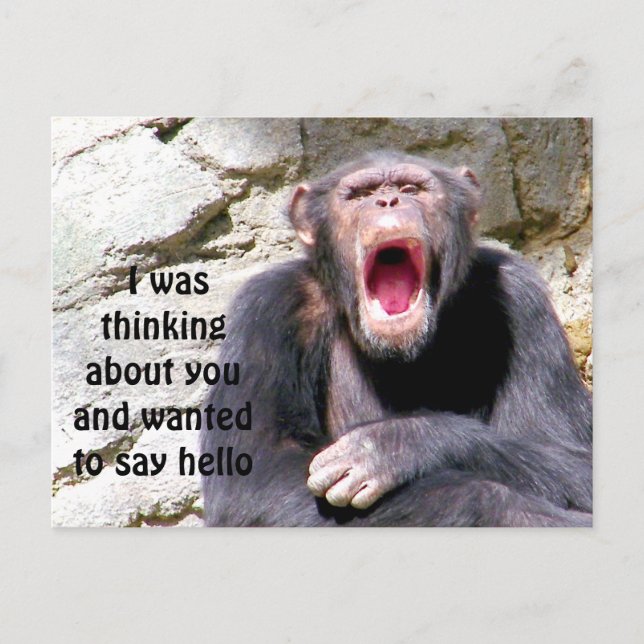 Hello_ Postcard (Front)