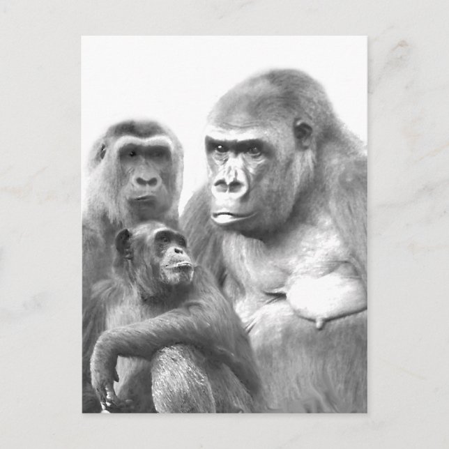 Hello_ Postcard (Front)