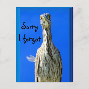 Hello_ Postcard