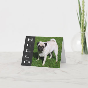 Hello Pug Puppy Dog Chalkboard  Blank  Note Card