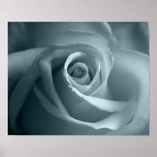 Hello Rose Poster (Front)