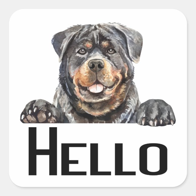  Hello Rottie Puppy Dog Watercolor Rottweiler  Squ Square Sticker (Front)
