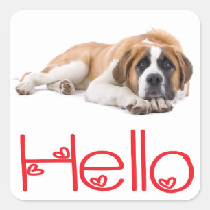 Hello Saint Bernard Puppy Dog Sticker / Seals