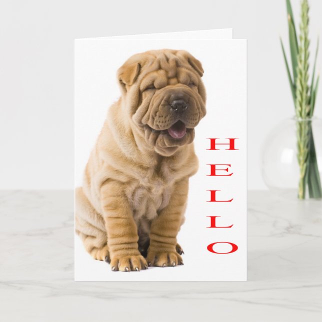 Hello Shar Pei Puppy Dog Blank Card (Front)