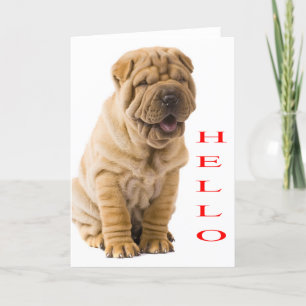 Hello Shar Pei Puppy Dog Blank Card