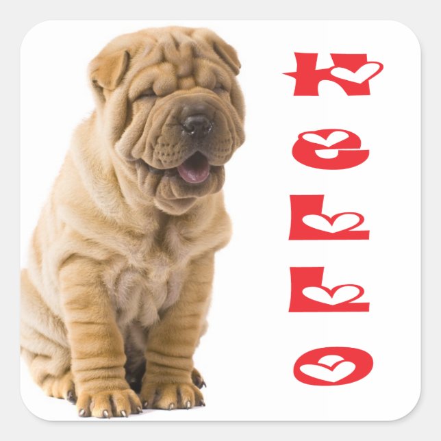 Hello Shar Pei Puppy Dog Sticker / Seals (Front)