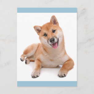 Hello Shiba Inu Puppy Dog Greeting Post Card