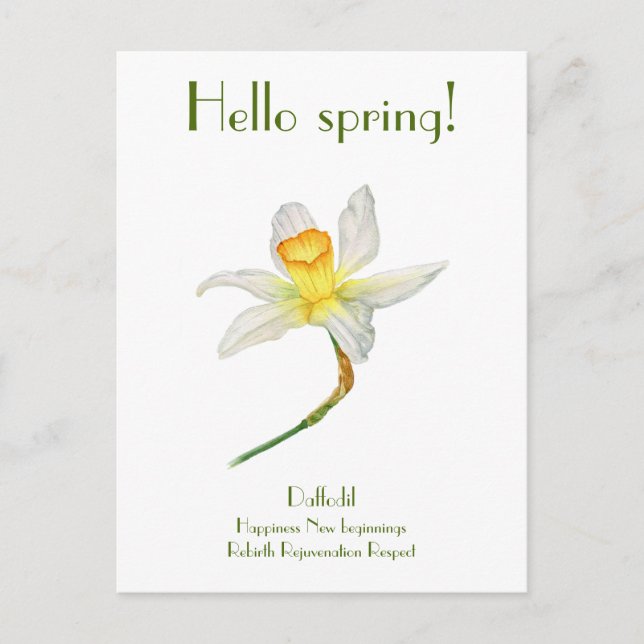 Hello spring daffodil with meaning Postcard (Front)