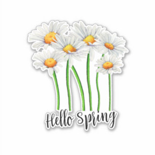 Hello Spring, Daisy Flowers Design