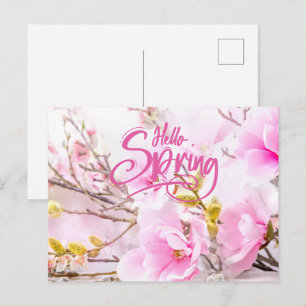 Hello Spring Pink Magnolia Flowers Postcard
