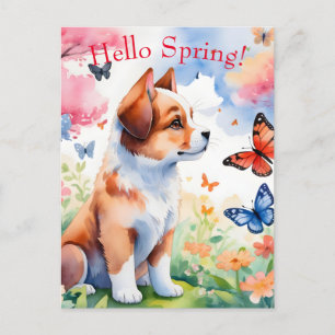 Hello Spring Postcard